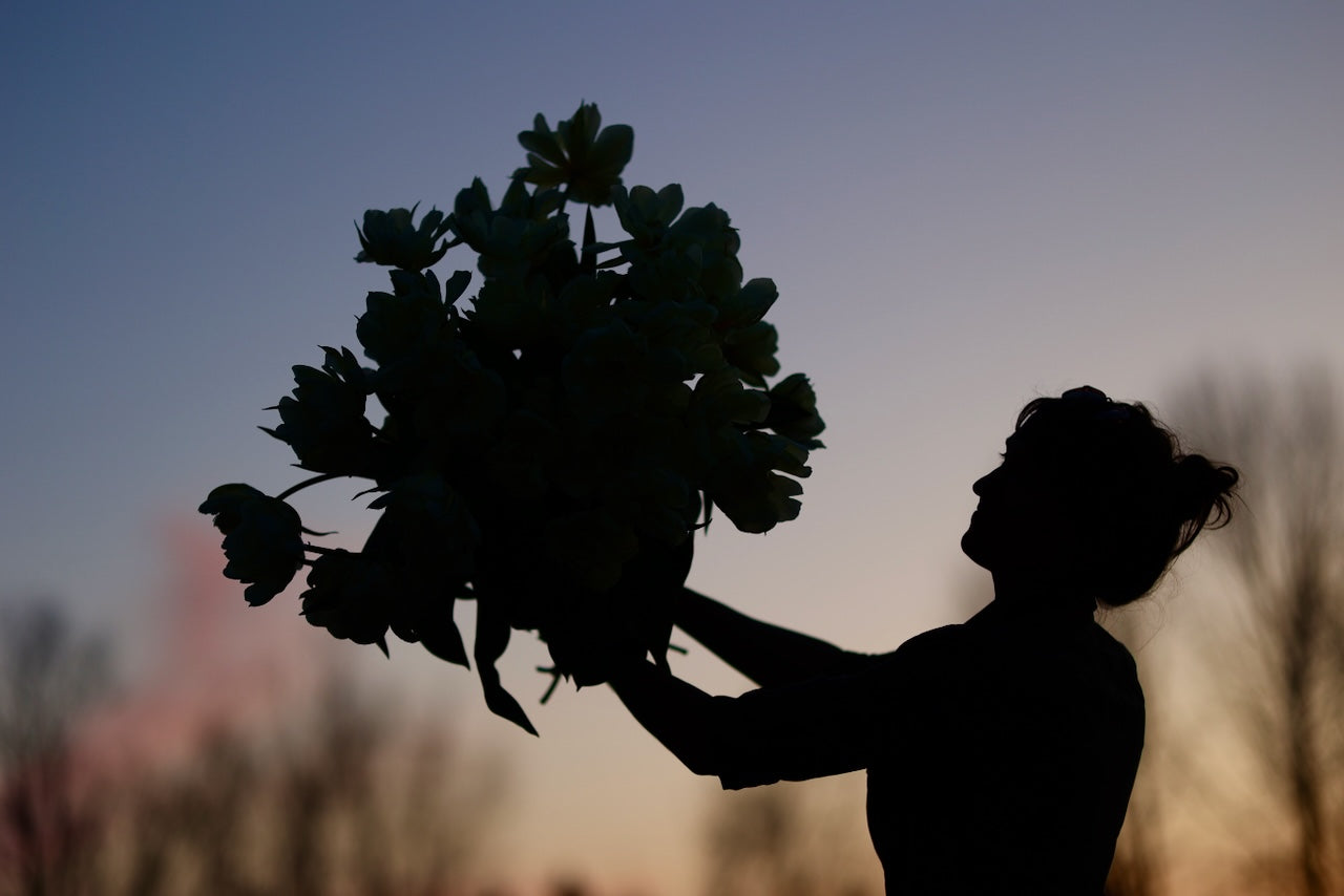 Le début d'un renouveau chez Floramama
