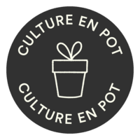 Culture en pot Culture en pot