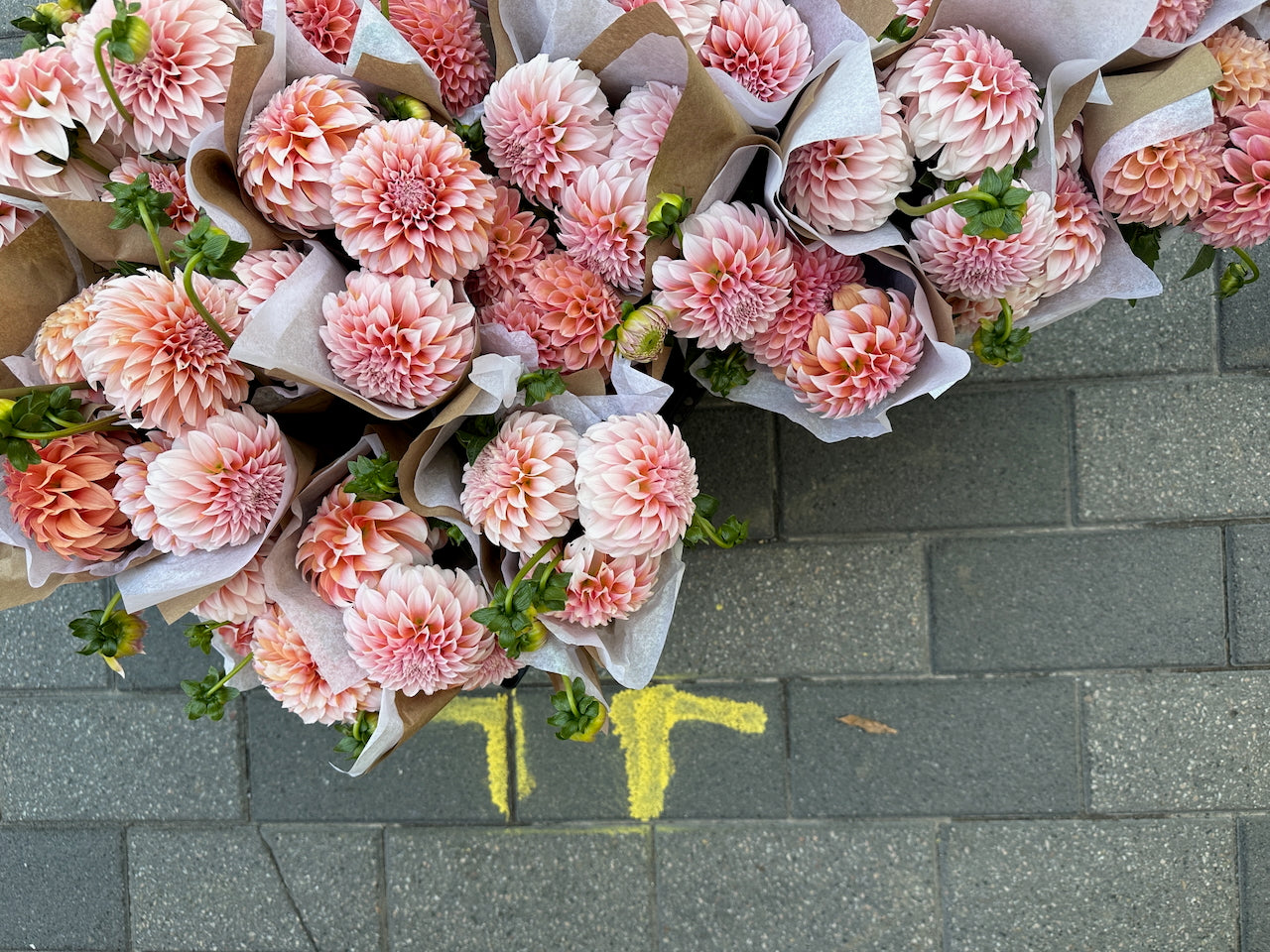 Le marché Laurier, une histoire d'amour depuis 15 ans!