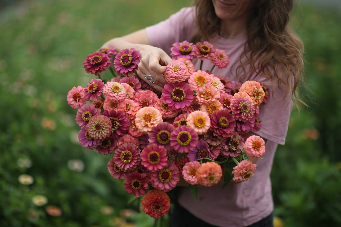 5 variétés à récolter en été
