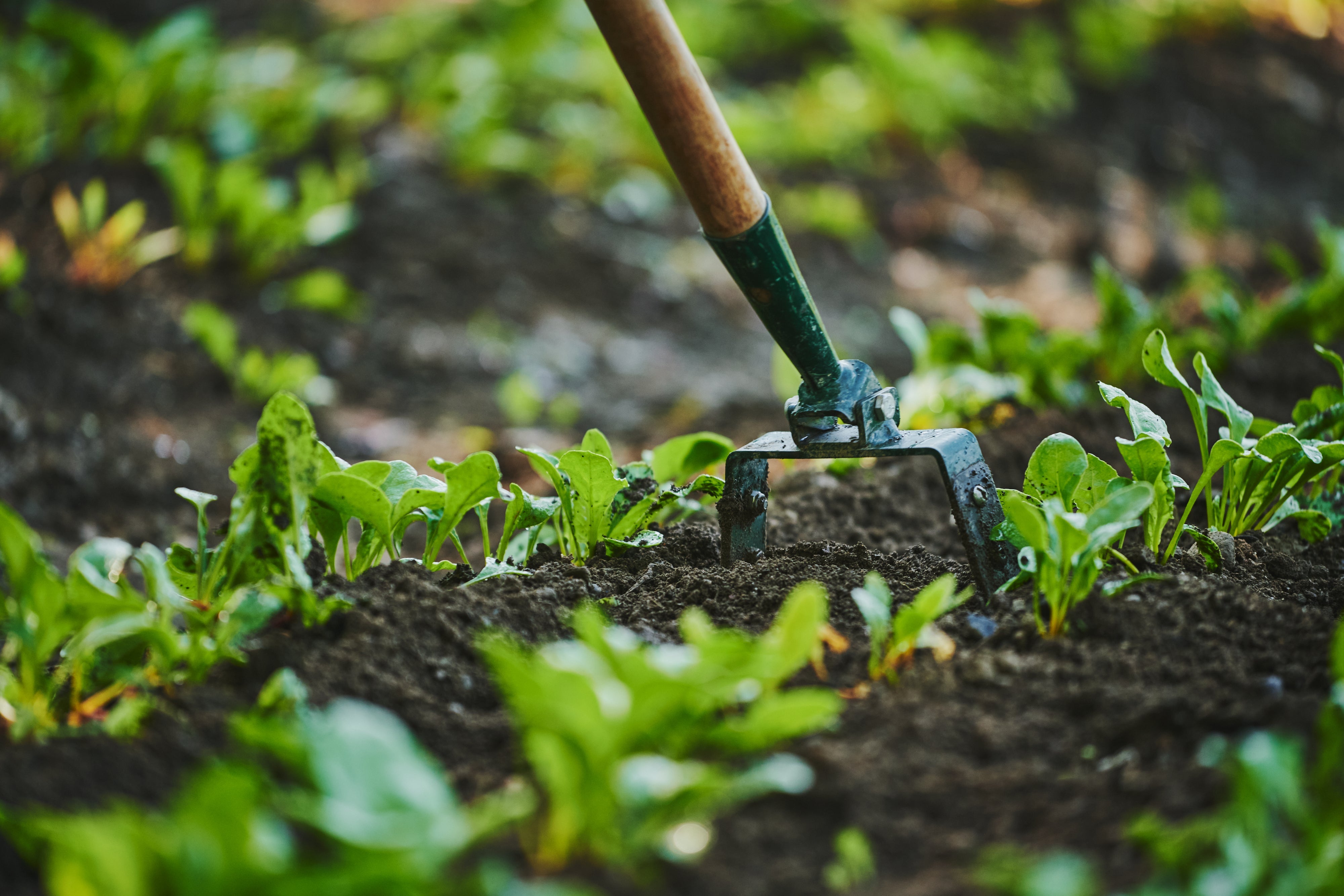 Outils de jardinage