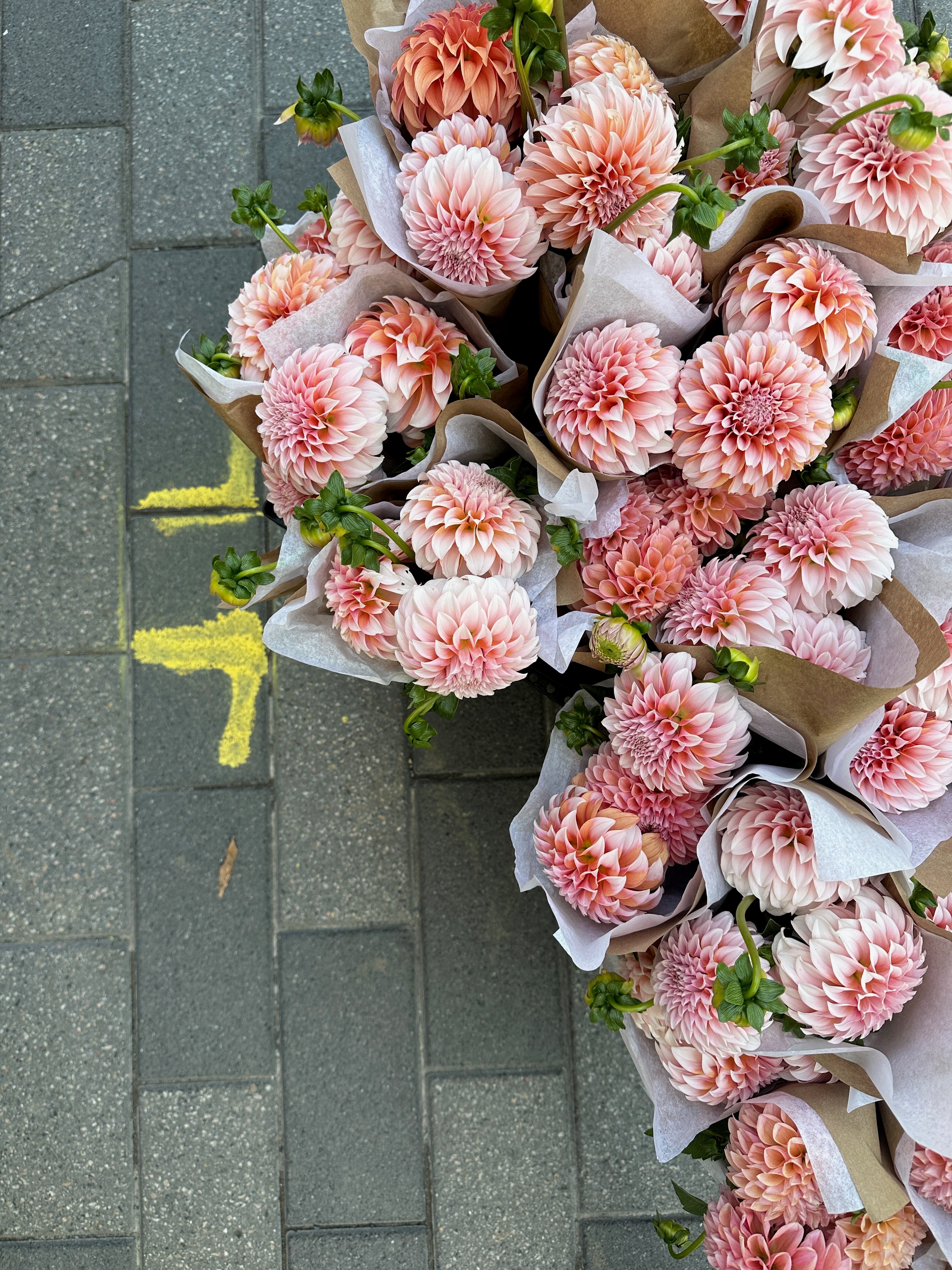 Peach n cream – Floramama