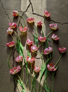 Affiche Tulipes + porte affiche en chêne